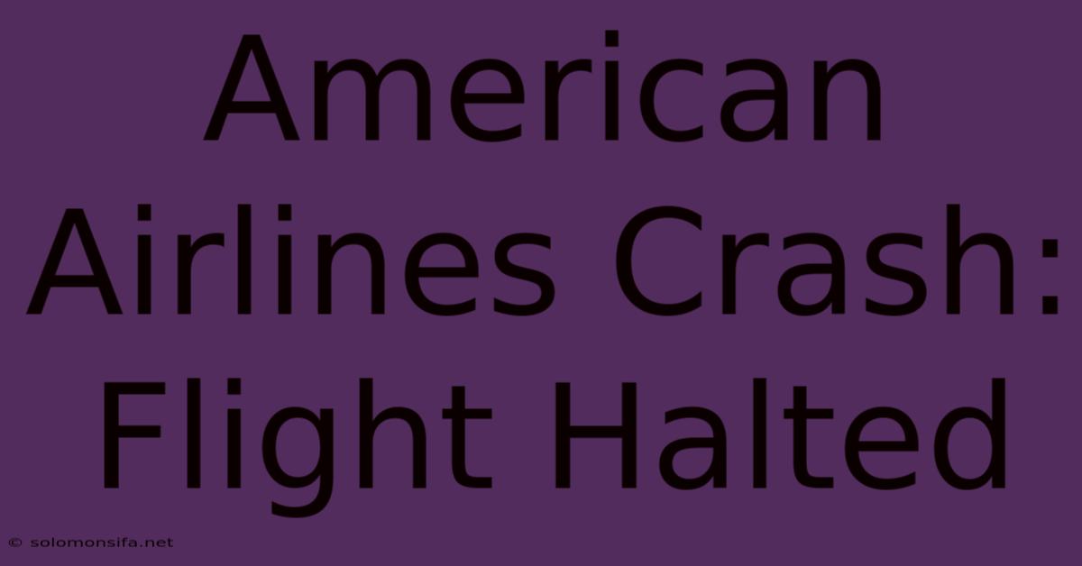 American Airlines Crash: Flight Halted