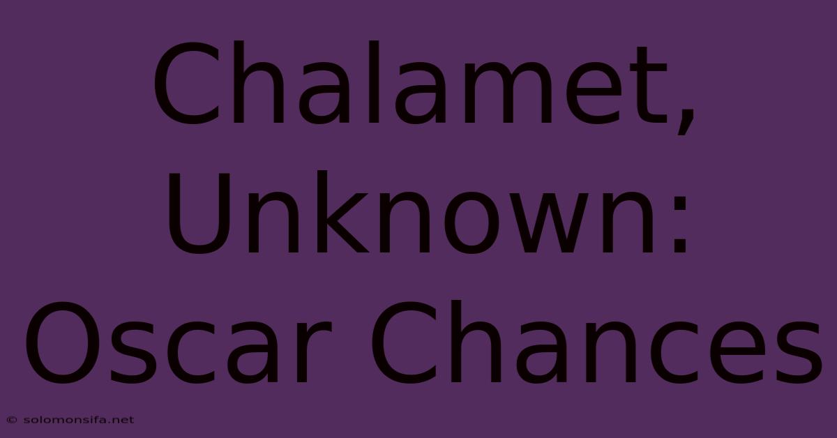 Chalamet, Unknown: Oscar Chances