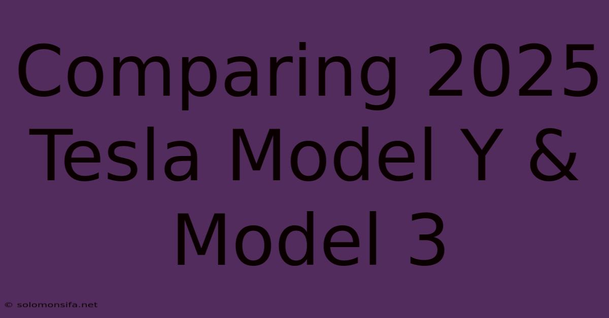 Comparing 2025 Tesla Model Y & Model 3