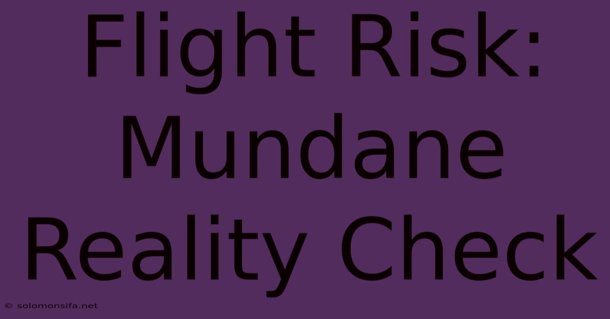 Flight Risk: Mundane Reality Check