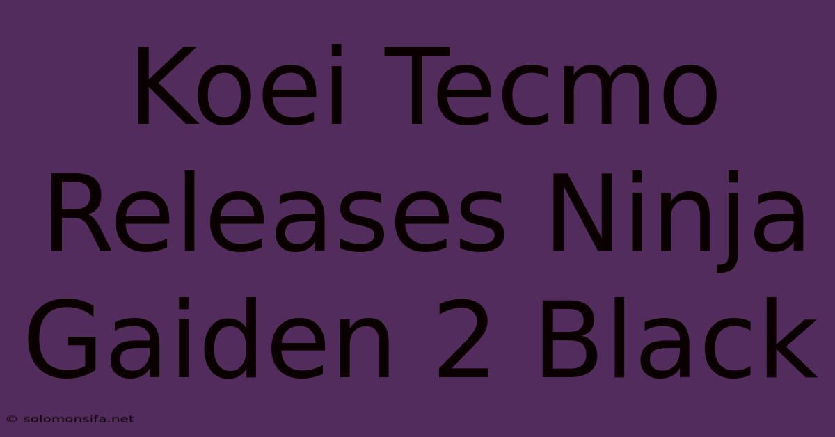 Koei Tecmo Releases Ninja Gaiden 2 Black