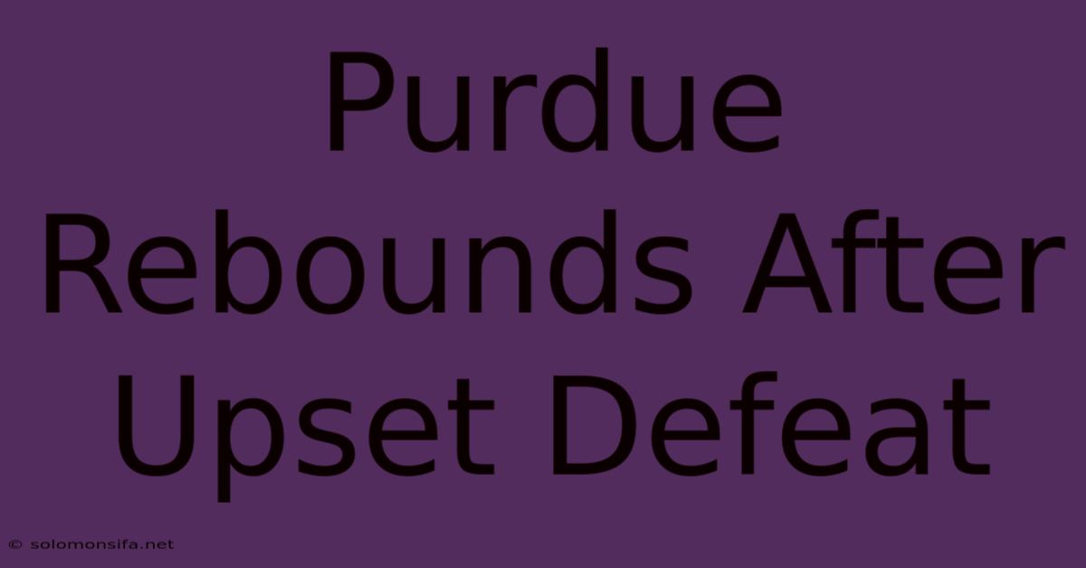 Purdue Rebounds After Upset Defeat