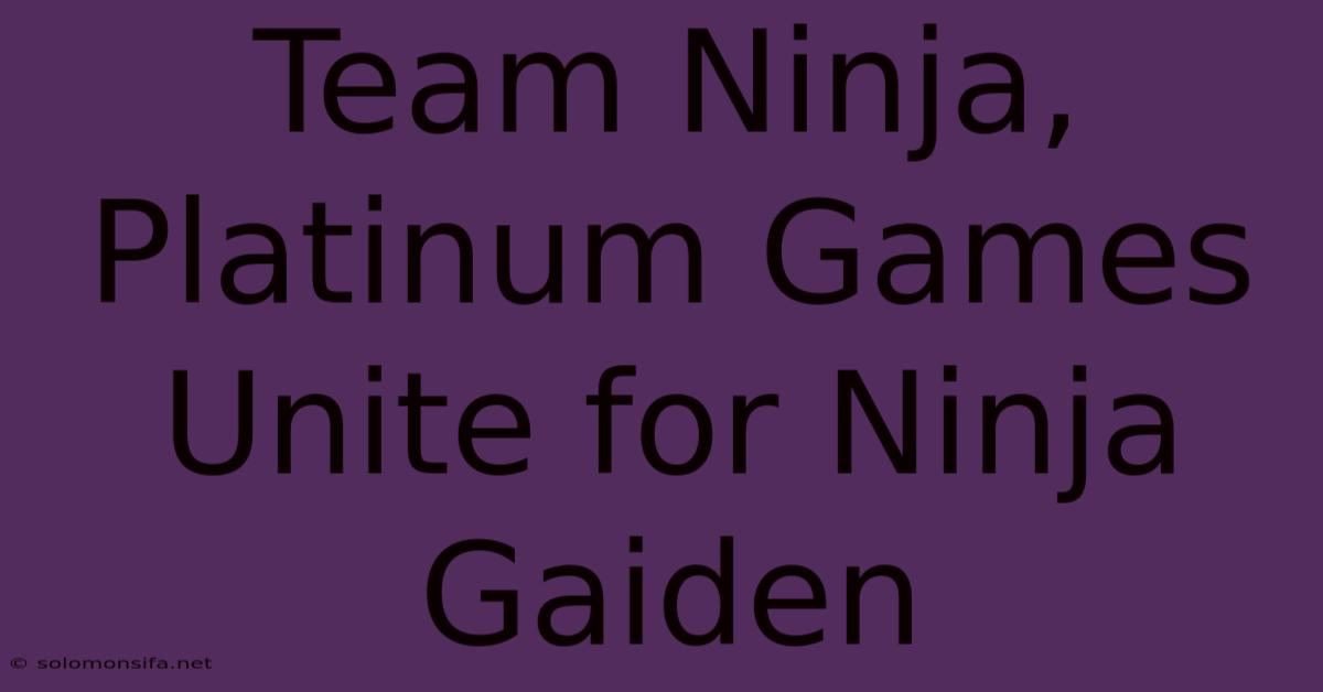 Team Ninja, Platinum Games Unite For Ninja Gaiden