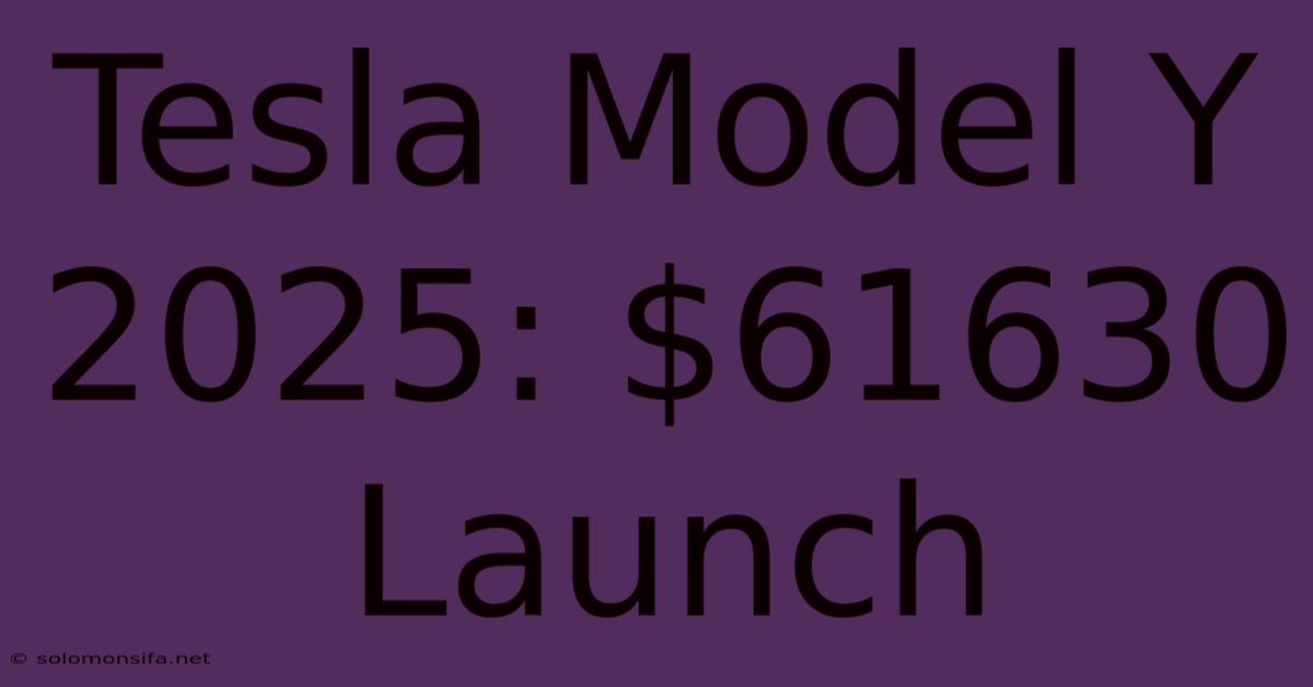 Tesla Model Y 2025: $61630 Launch